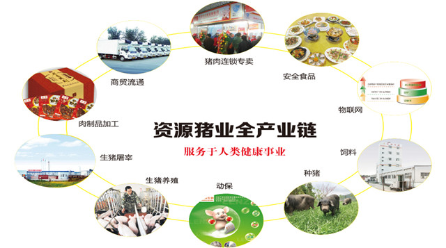 无码国产亚洲日韩国精品视频一区二区