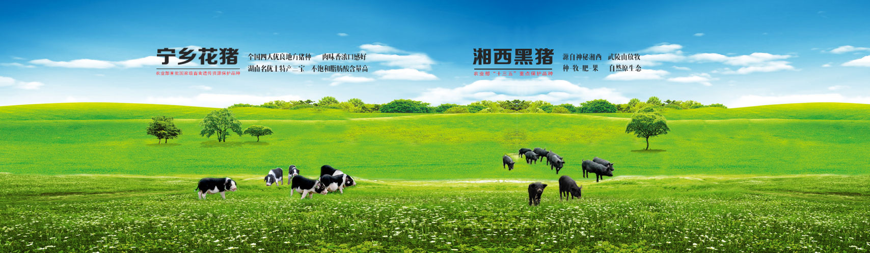 无码国产亚洲日韩国精品视频一区二区