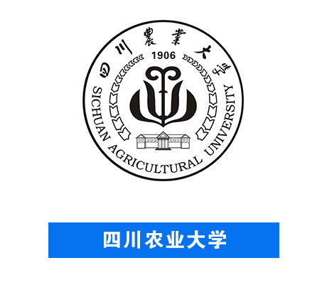 无码国产亚洲日韩国精品视频一区二区
