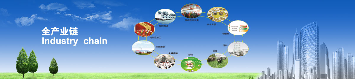 无码国产亚洲日韩国精品视频一区二区