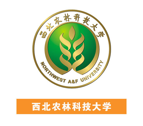 无码国产亚洲日韩国精品视频一区二区