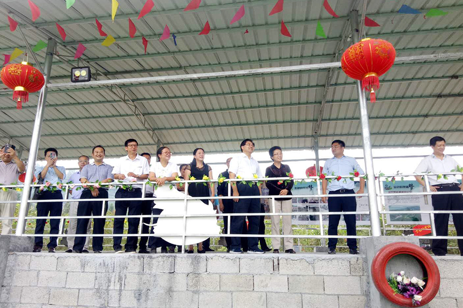 赛猪会.jpg 赛猪会.jpg